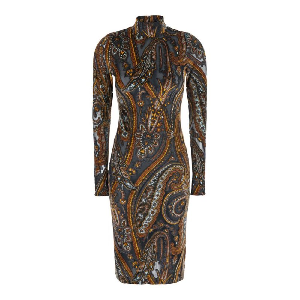 Etro Women Dress Devorè With Long Sleeves And Round Neckline In Multicolor Women